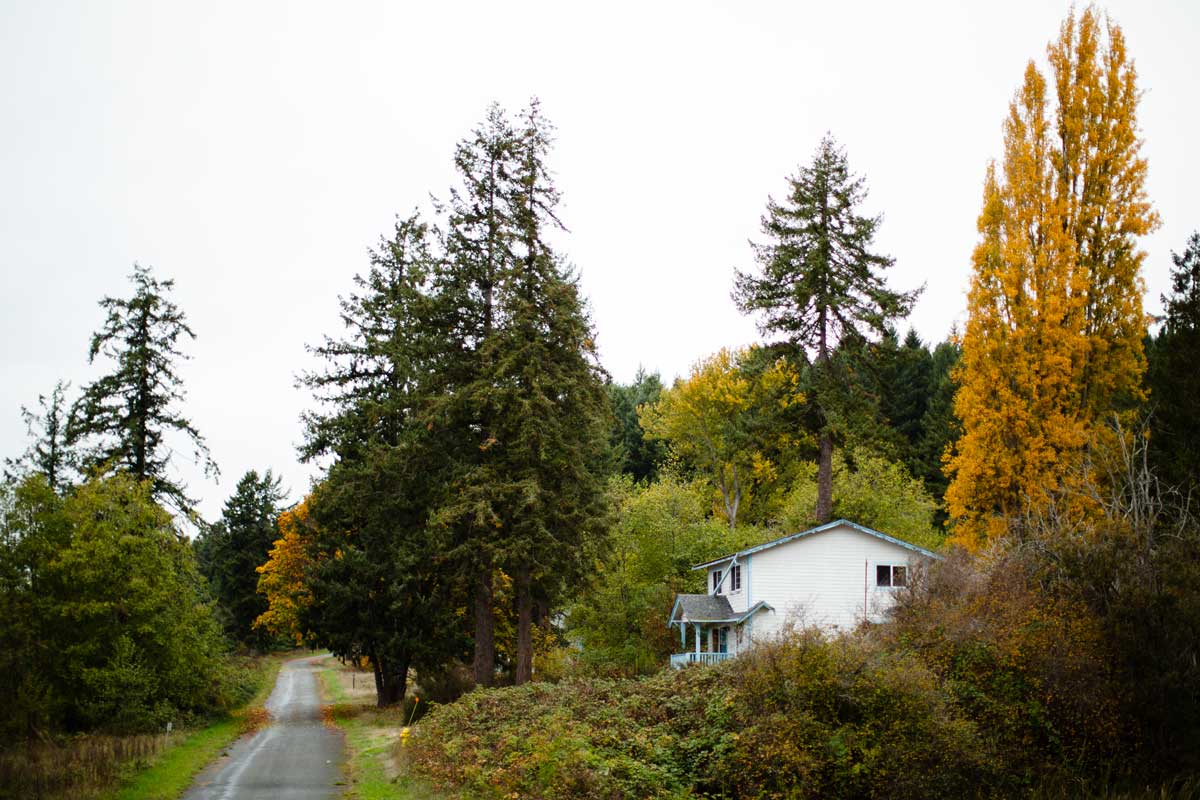 One of the now abandon homes on McNeil Island. Residents were required to leave once the prison was shut down in April of 2011.